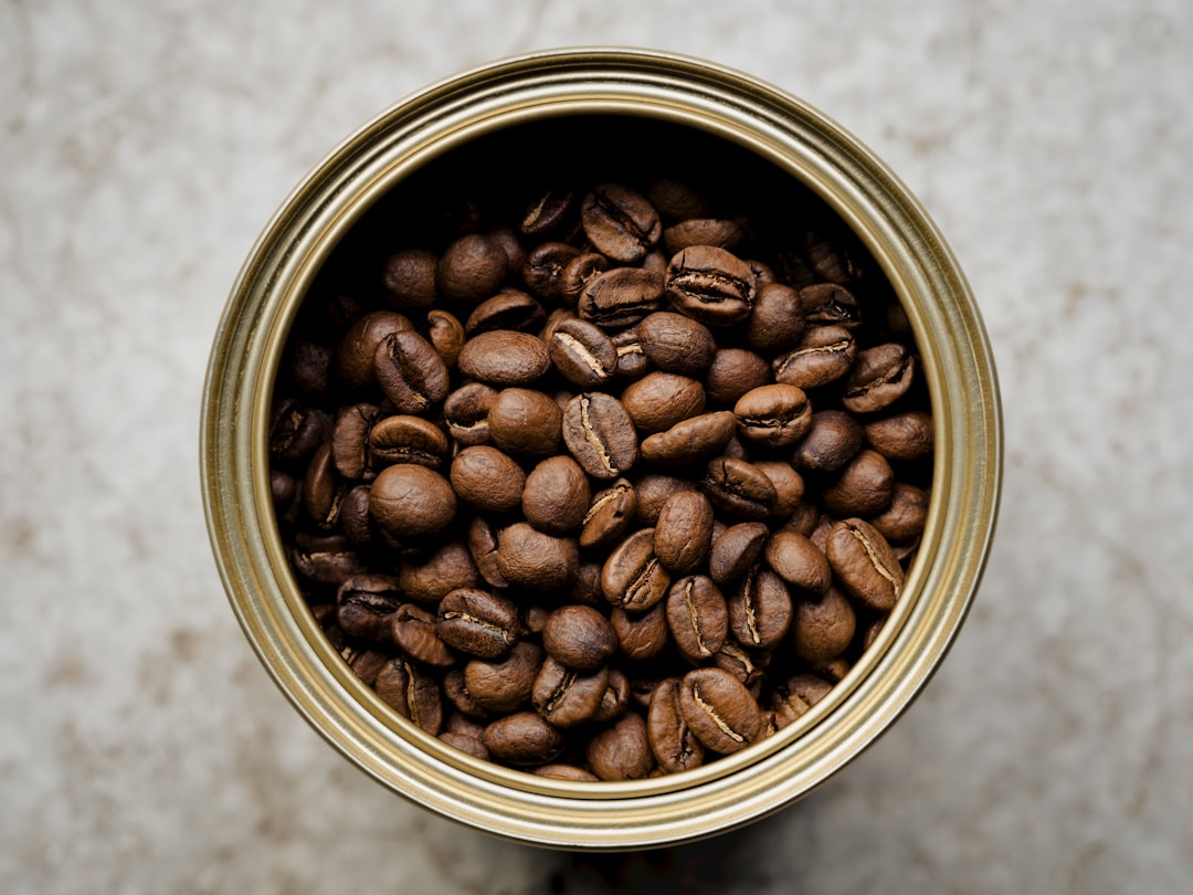 CAFE CONCETTO - Big Bossa - Coffee Beans